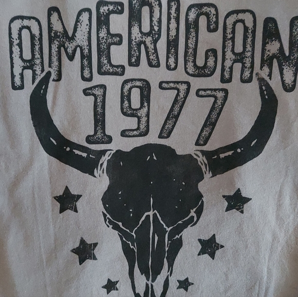 Zutter USA American Made 1977 Longhorn Graphic Dress in Charcoal - Picture 4 of 9
